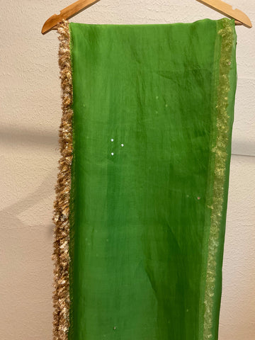Green & Yellow Saree with Sequins